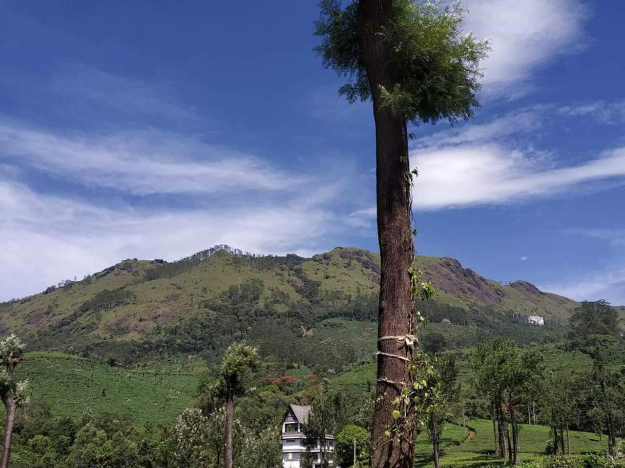 Gruenberg Tea Plantation Haus Bed & Breakfast Munnar